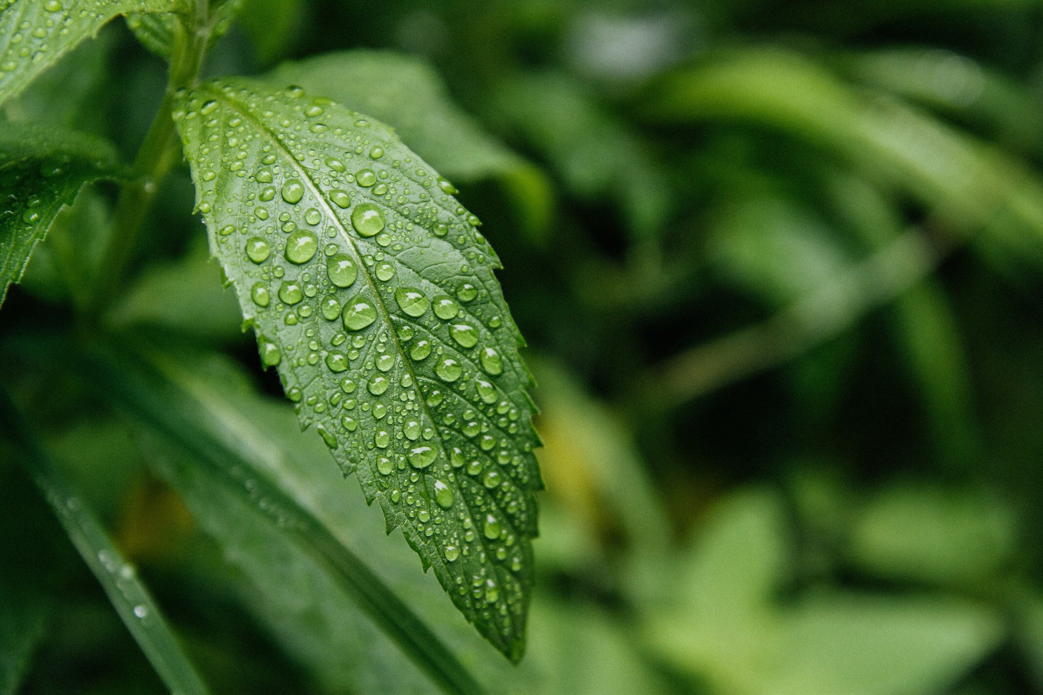 Prepare for Change - Upcoming Evergreen Changes