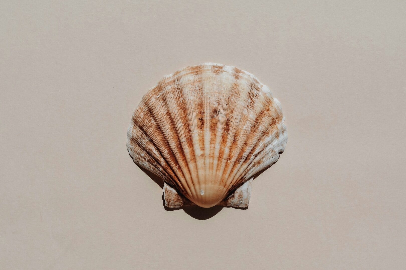 Automating Nerdio Manager Shell Apps, with Custom apps, Part 3