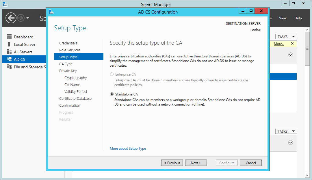 Certificate Services wizard - configure a standalone CA