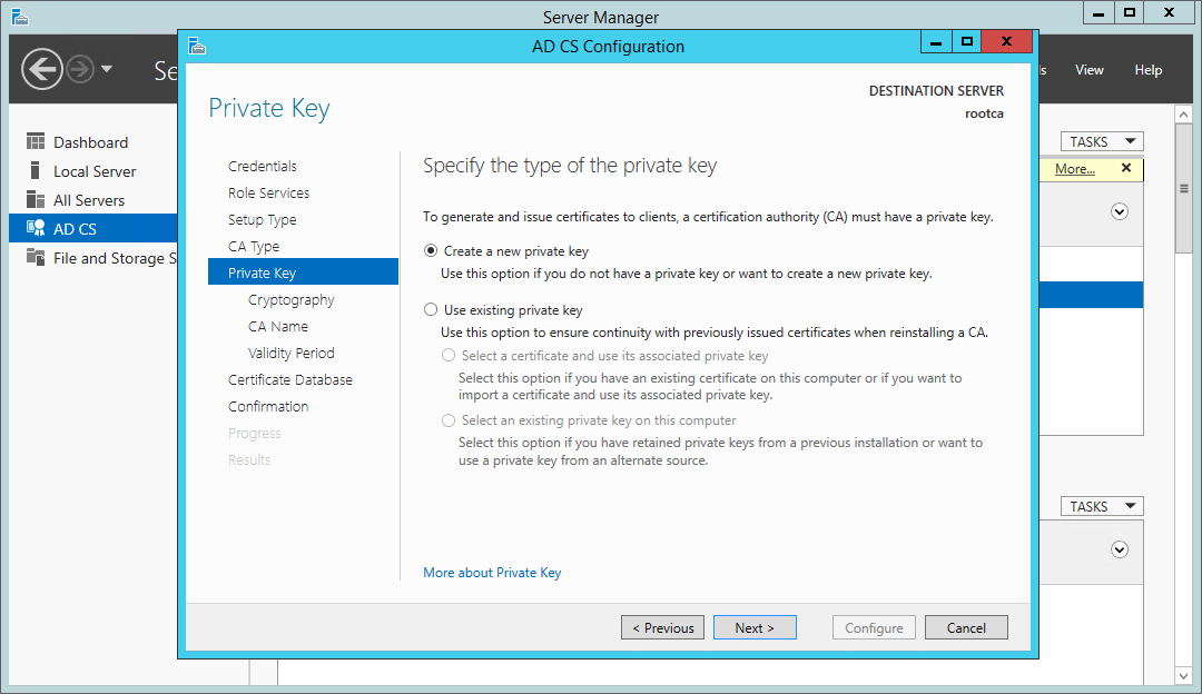 Certificate Services wizard - choose a new private key