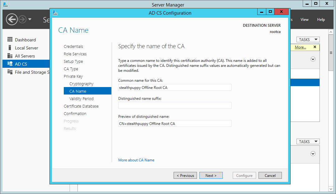 Certificate Services wizard - specify a CA name