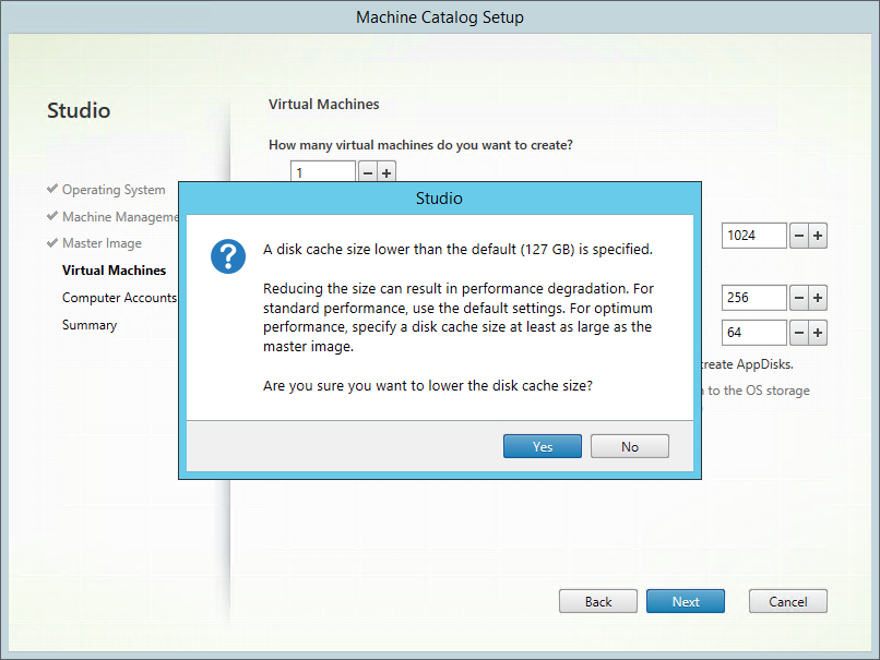 Disk cache size warning for Server OS VMs