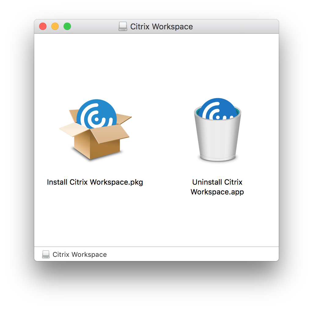 The Citrix Workspace app disk image